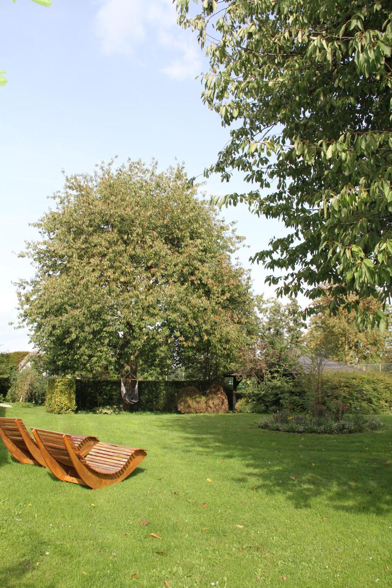 Familiehuis De Betuwe met kunstgras tennisbaan en sauna Villa Erichem Buitenkant foto