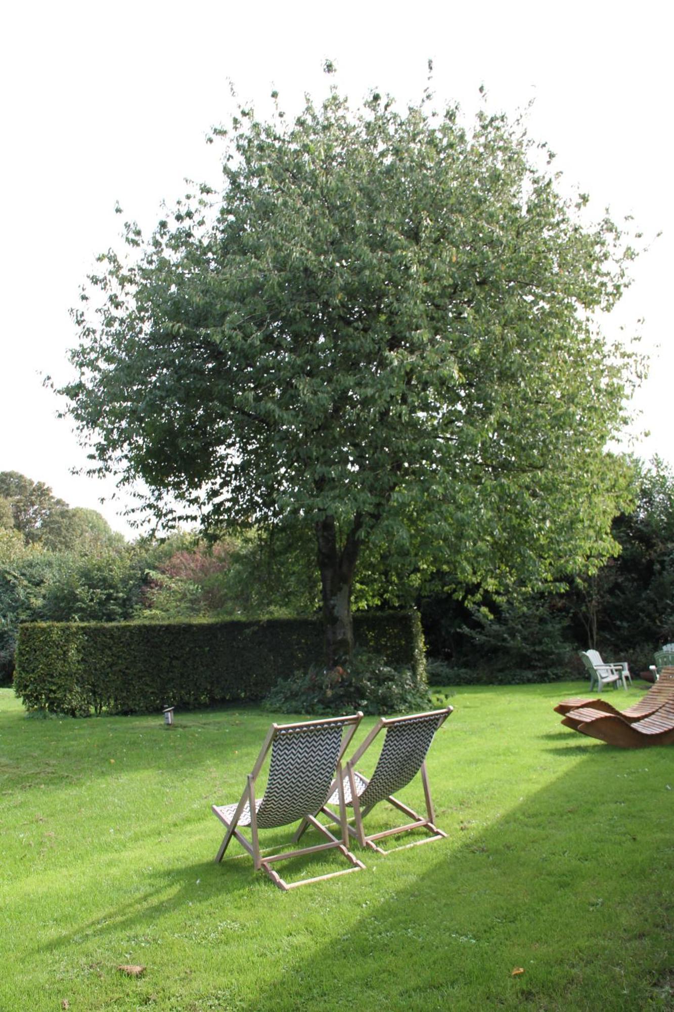 Familiehuis De Betuwe met kunstgras tennisbaan en sauna Villa Erichem Buitenkant foto